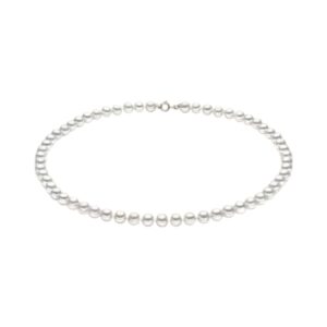 COMETE CL PERLE 6-6.5